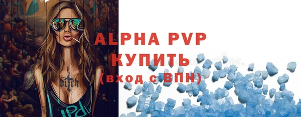 сатива Кинешма