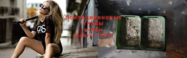 сатива Кинешма
