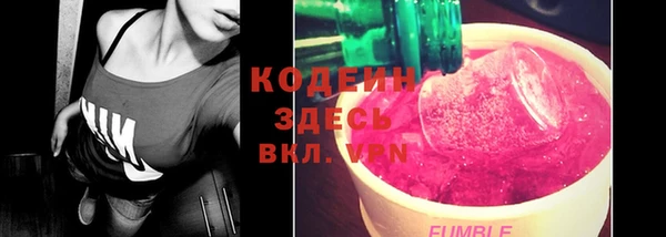 сатива Кинешма
