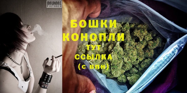 сатива Кинешма
