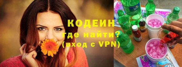 сатива Кинешма