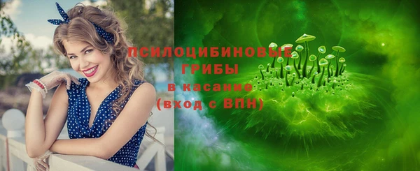 сатива Кинешма