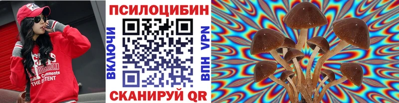 Галлюциногенные грибы мицелий  Купить  Буй 